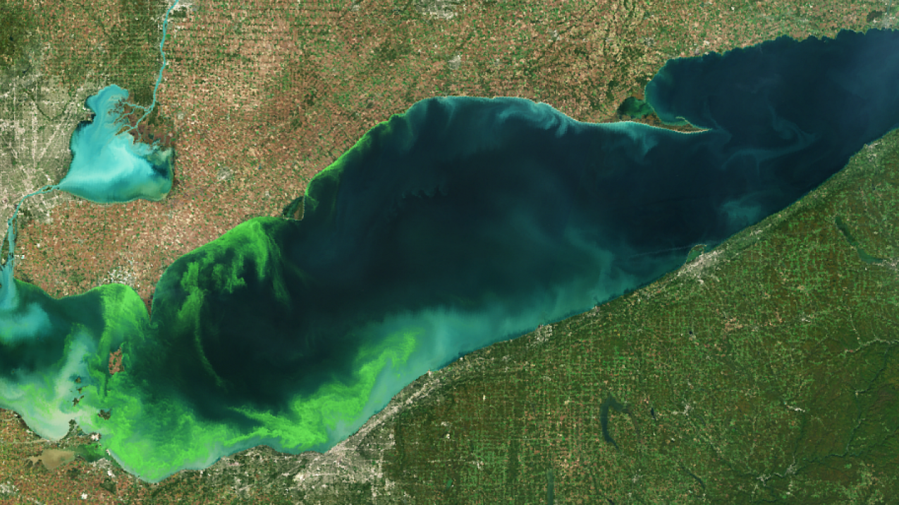 NOAA, partners predict large summer harmful algal bloom for western